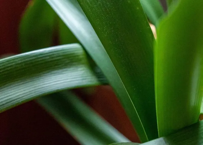 Mamma Maja Holiday home