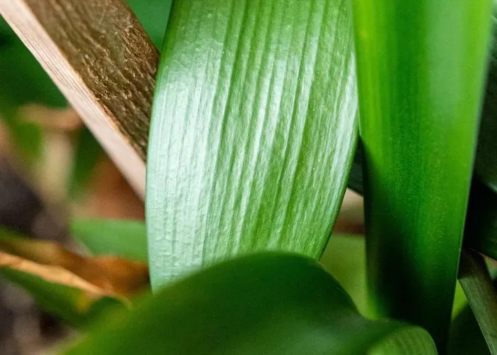 Mamma Maja Holiday home